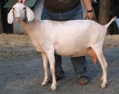 Jill right left side 2 years old